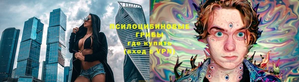 СК Весьегонск