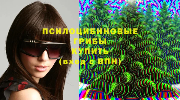 кокаин Белокуриха