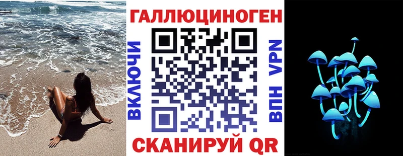 ОМГ ОМГ зеркало  Невель  Псилоцибиновые грибы Cubensis  как найти  